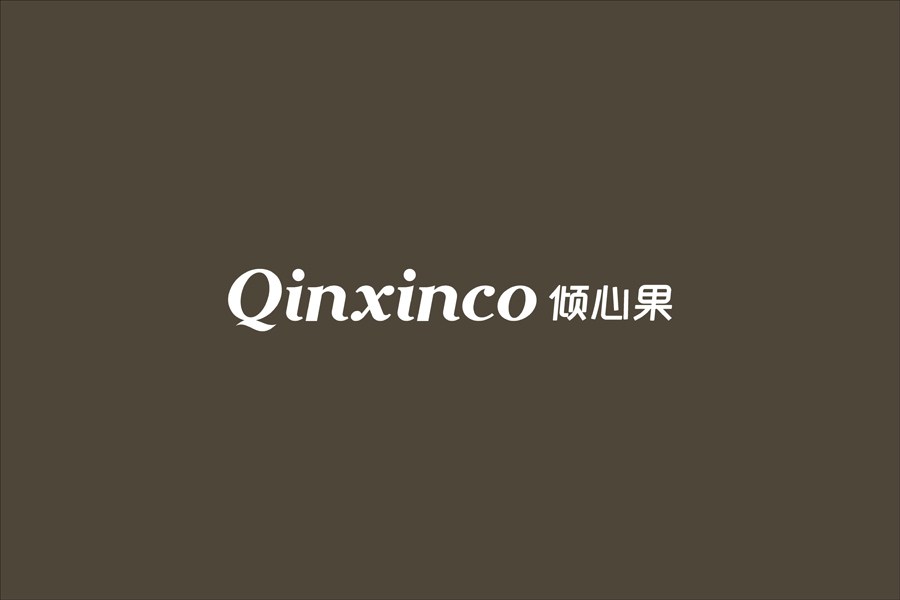 QINXINCO童装形象