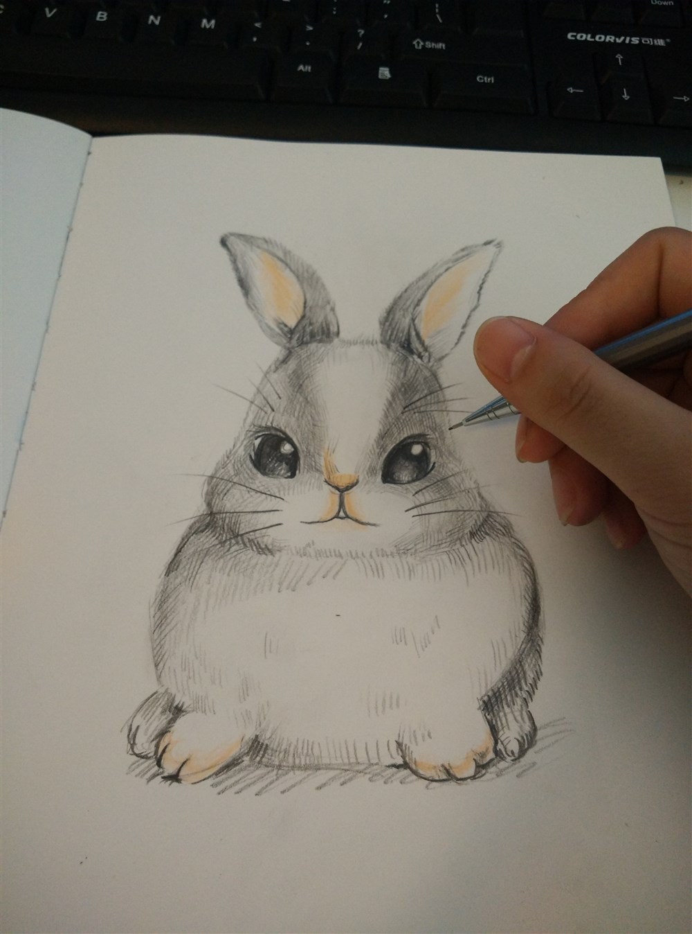兔兔