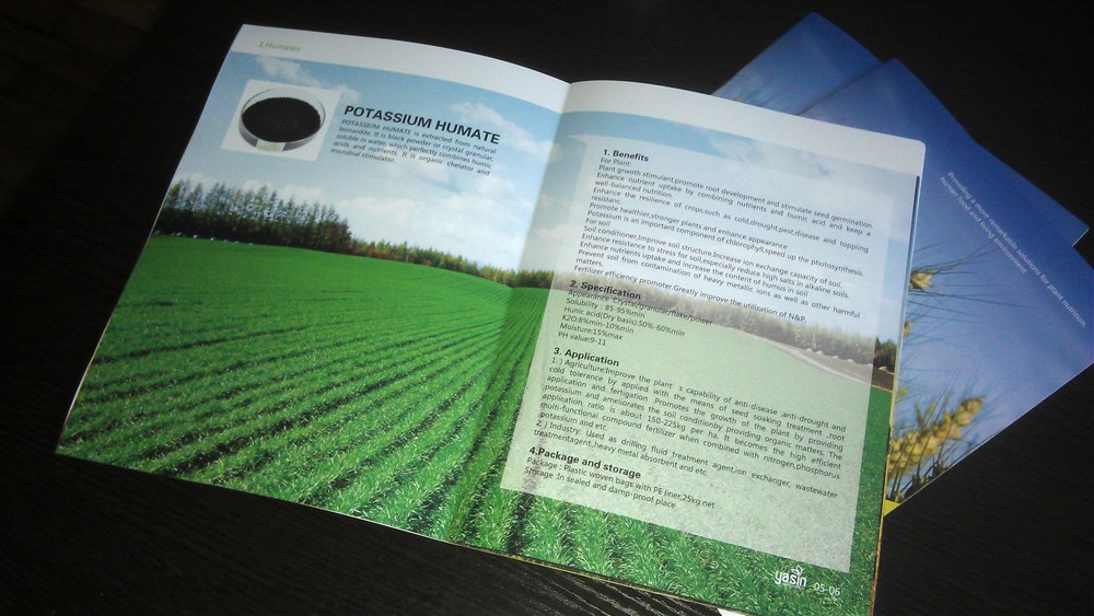 亚迅农产品画册设计