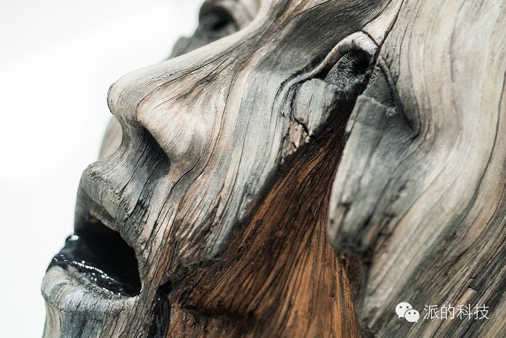 派的艺术|似木非木，超逼真艺术陶瓷雕塑