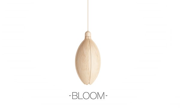 LAMP BLOOM——花灯