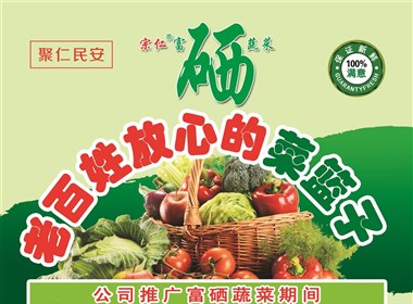 菜篮子工程  宣传彩页设计稿