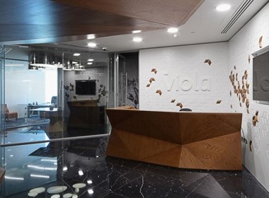 阿联酋Viola 通信公司总部办公室