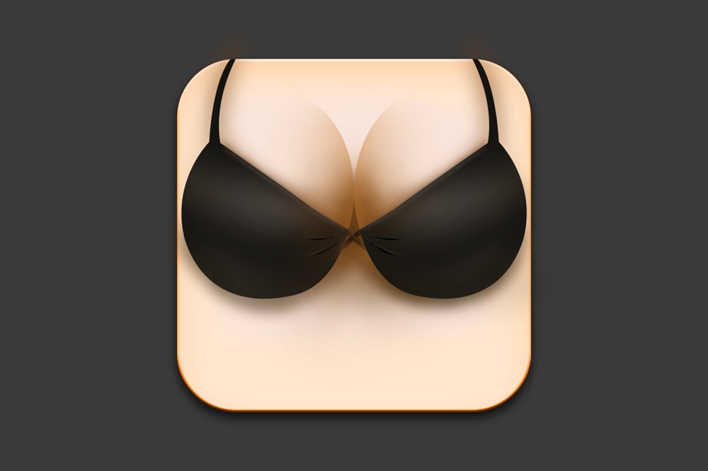 bra  icon