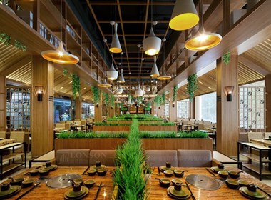 锦园四季椰子鸡餐厅设计｜体验天然椰树风情