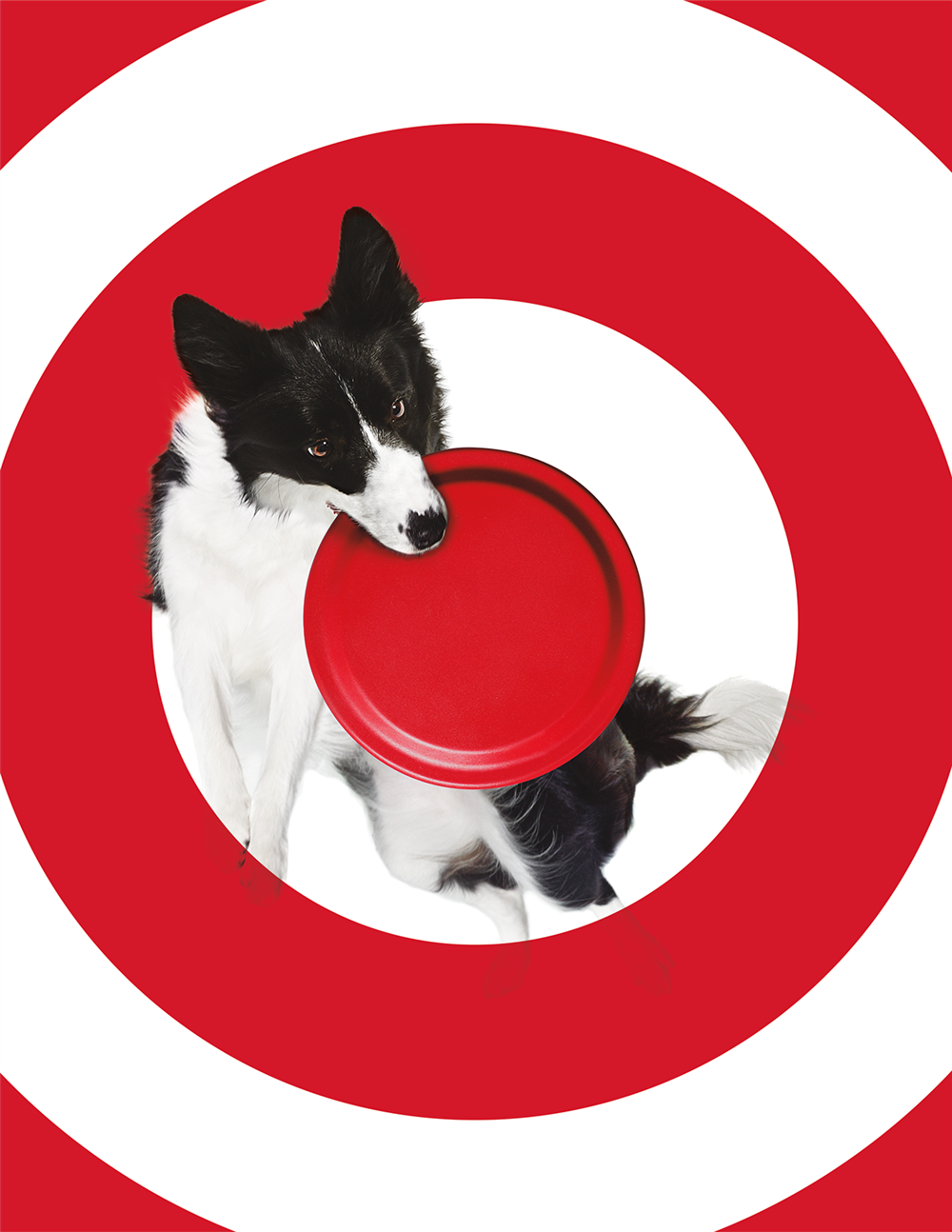 2015 Target Branding
