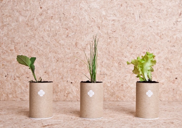 有趣的小型盆栽植物包装设计