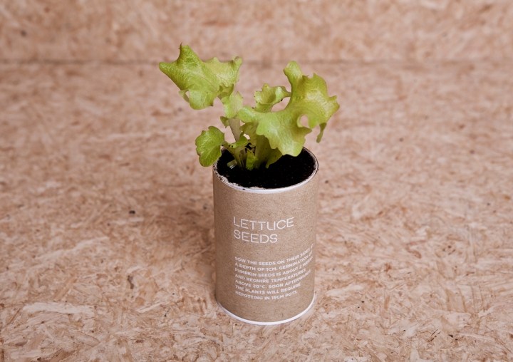 有趣的小型盆栽植物包装设计
