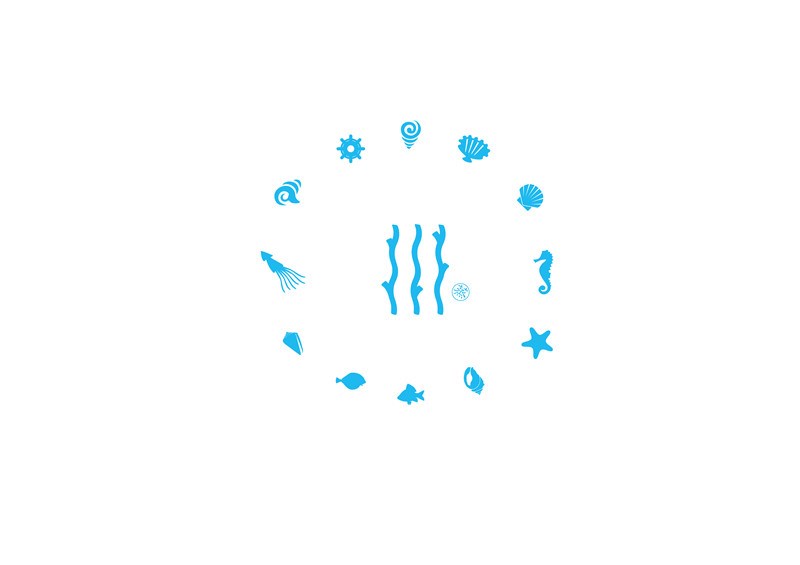 心仪蓝珊瑚品牌形象设计