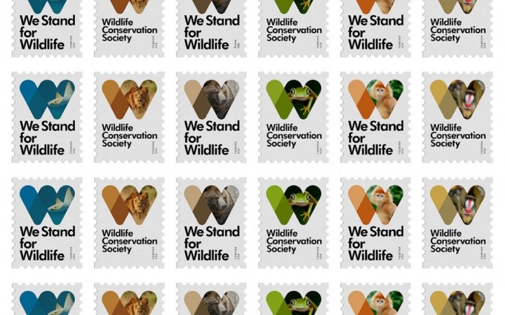 WCS国际野生生物保护学会品牌设计