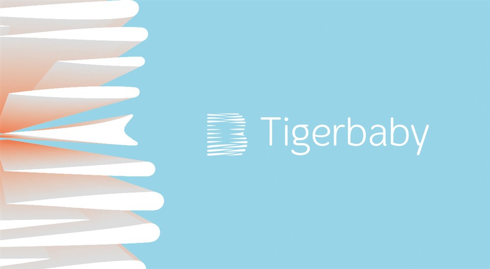 tigerbaby虎宝饰品品牌形象设计