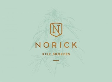  Norick保险公司品牌形象VI设计