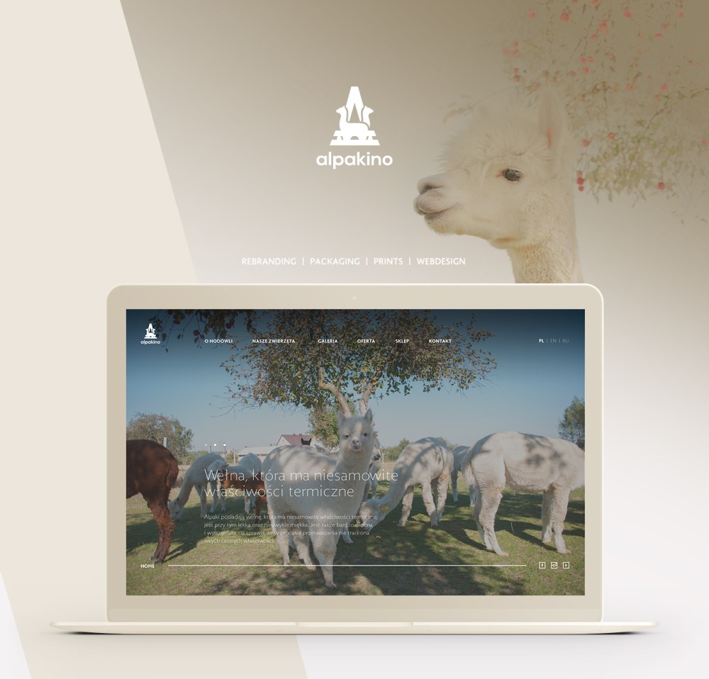 波兰羊驼农场网站