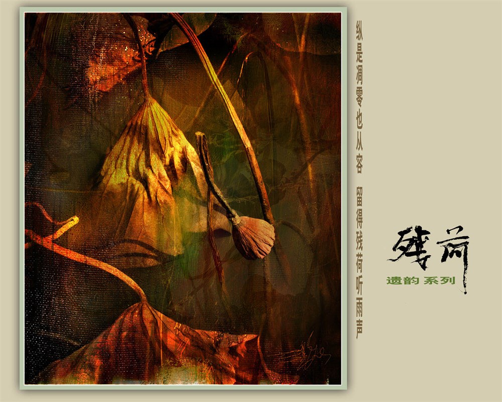 <殘荷遺韻>PS油畫(huà)糸列