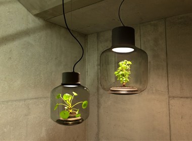 如此美的植物灯具