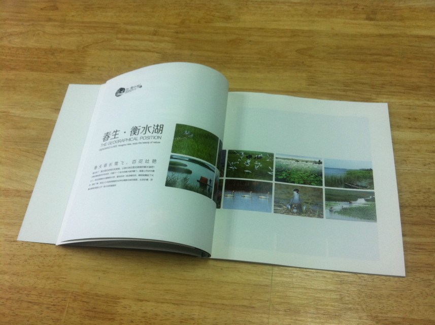 衡水湖—徐桂亮品牌设计