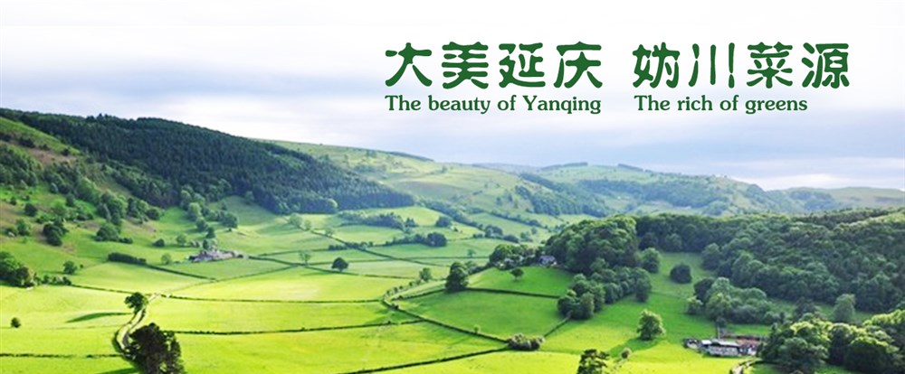 智農寶 活動Banner