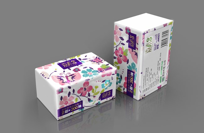 嘉洲纸业包装设计