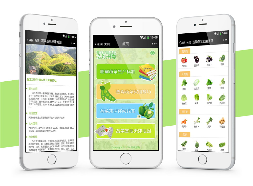 天津安全健康蔬菜選購指南 微信WebApp(UI設(shè)計)