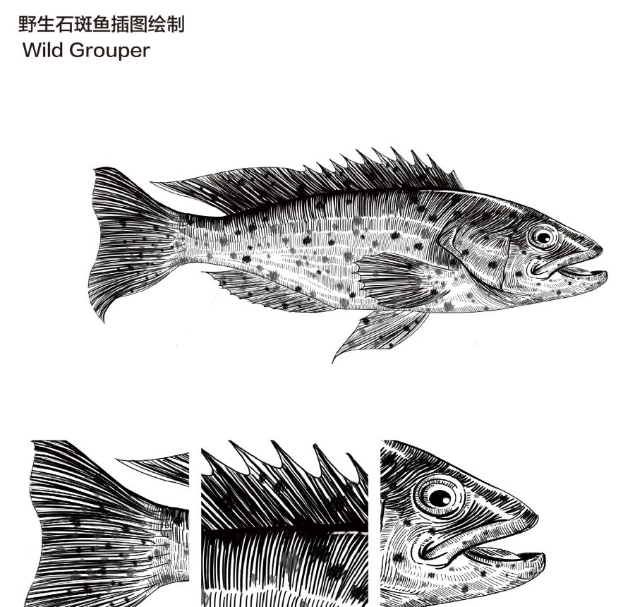 擴(kuò)展視覺維度的食品包裝設(shè)計