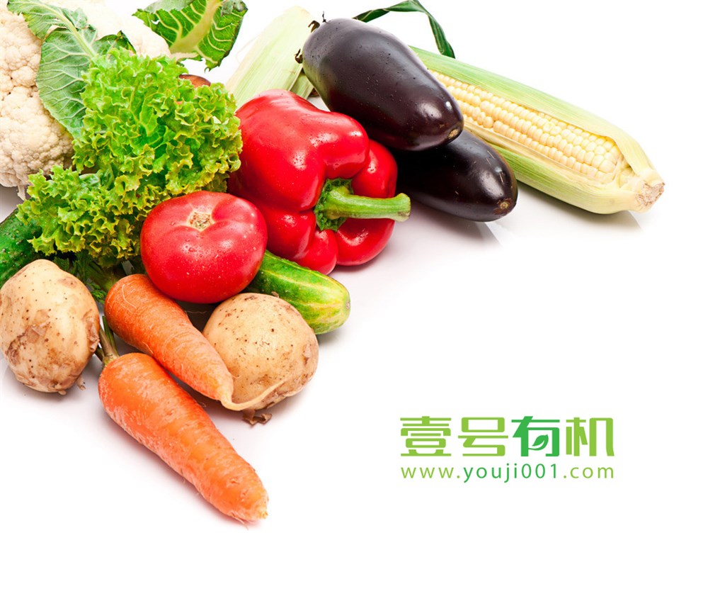 绿色有机食品平台logo和字体设计—壹号有机