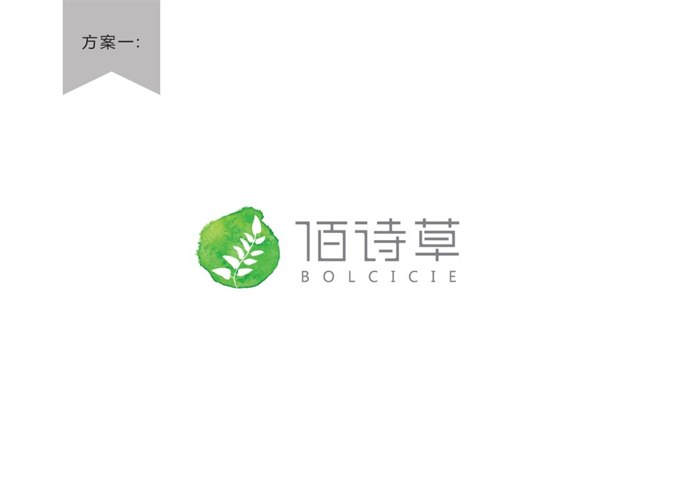 化妆品品牌logo字体设计—佰诗草