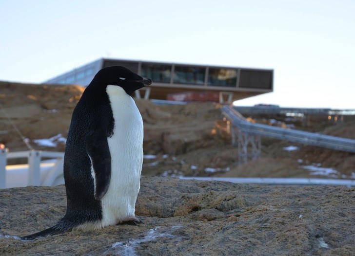 南極科考站India’s Bharathi Antarctic Research Station