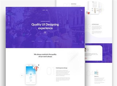 Themeunix: Web Landing page Design