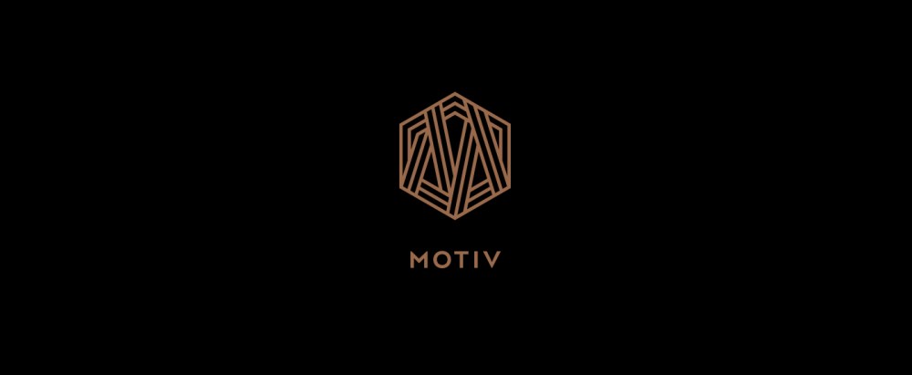 MOTIV 视觉识别系统