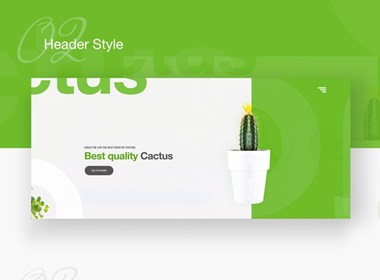 Cactus Landing Page Design Concept