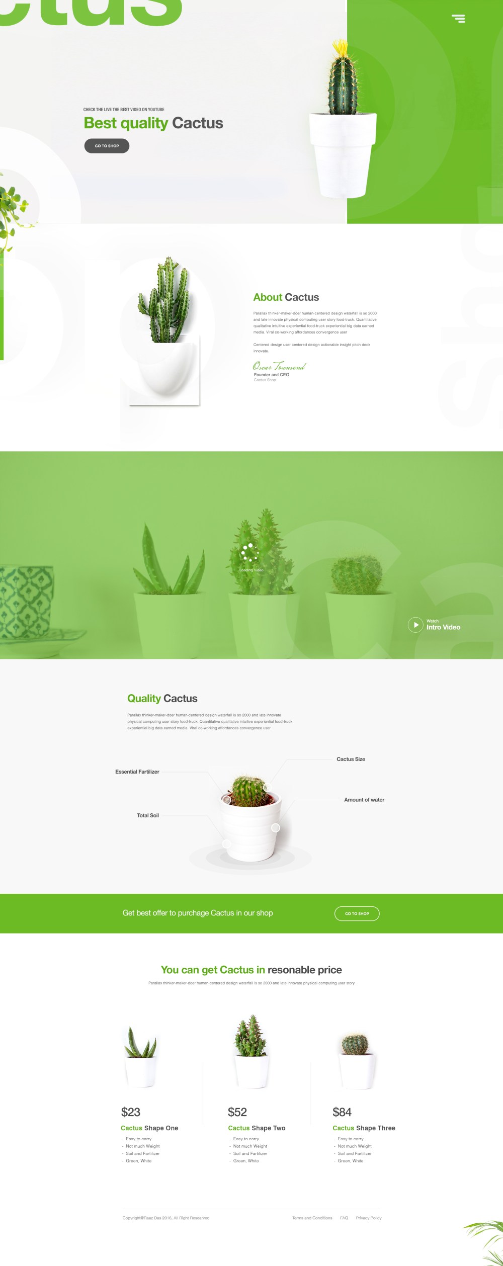 Cactus Landing Page Design Concept