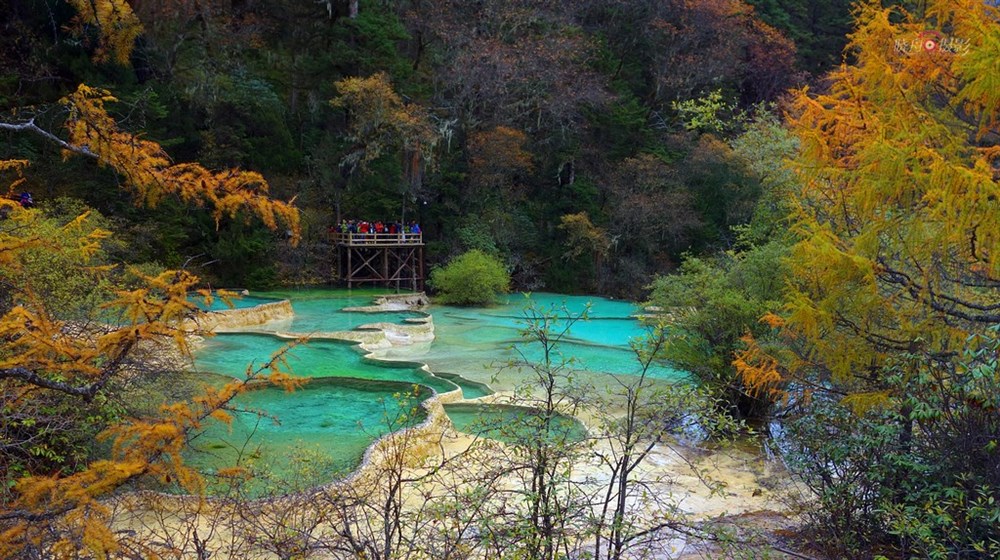 四川阿坝黄龙风光