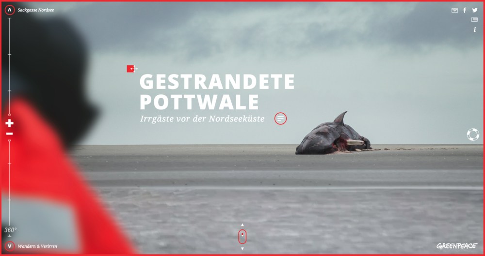 Greenpeace | Stranded Whales 