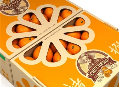 Orange Chu 橙子包装设计