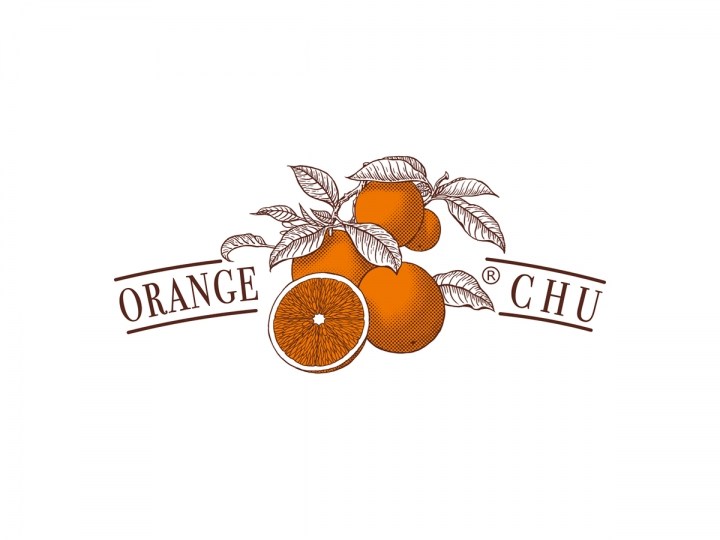 Orange Chu 橙子包装设计
