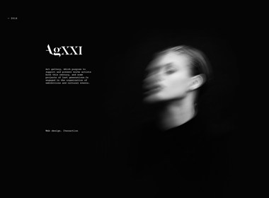 AgXXI 画廊网站