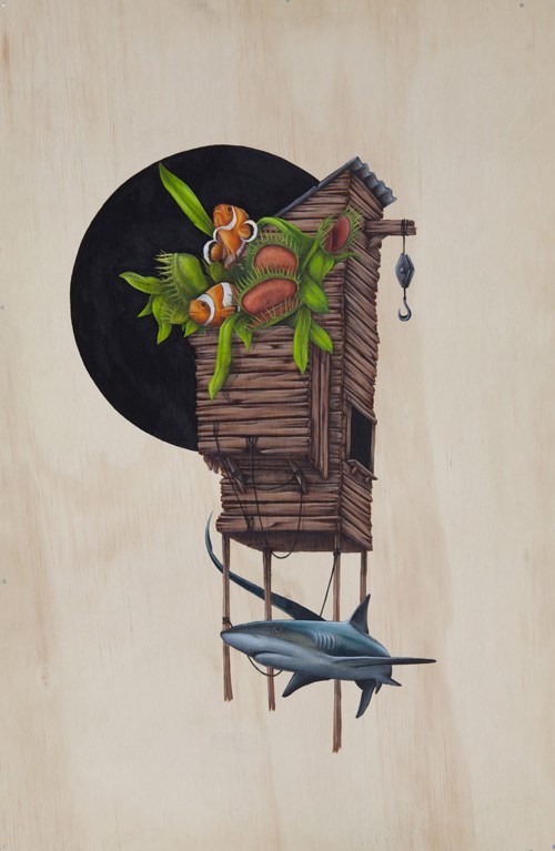 澳洲艺术家：Thomas Jackson（托马斯·杰克逊）的野生涂鸦