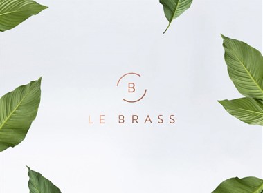 Le Brass Homewares—黄铜家居品牌