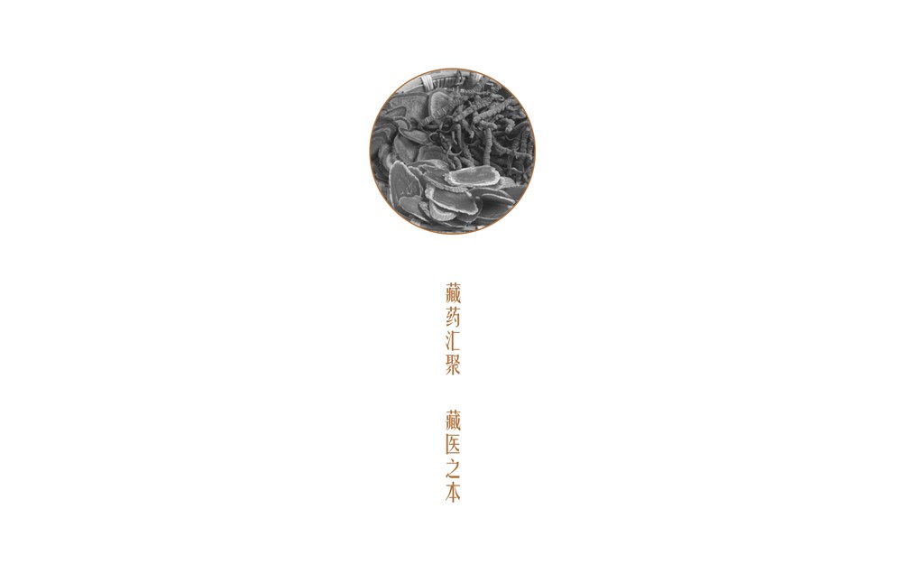 西藏圣華堂品牌設(shè)計(jì)提案