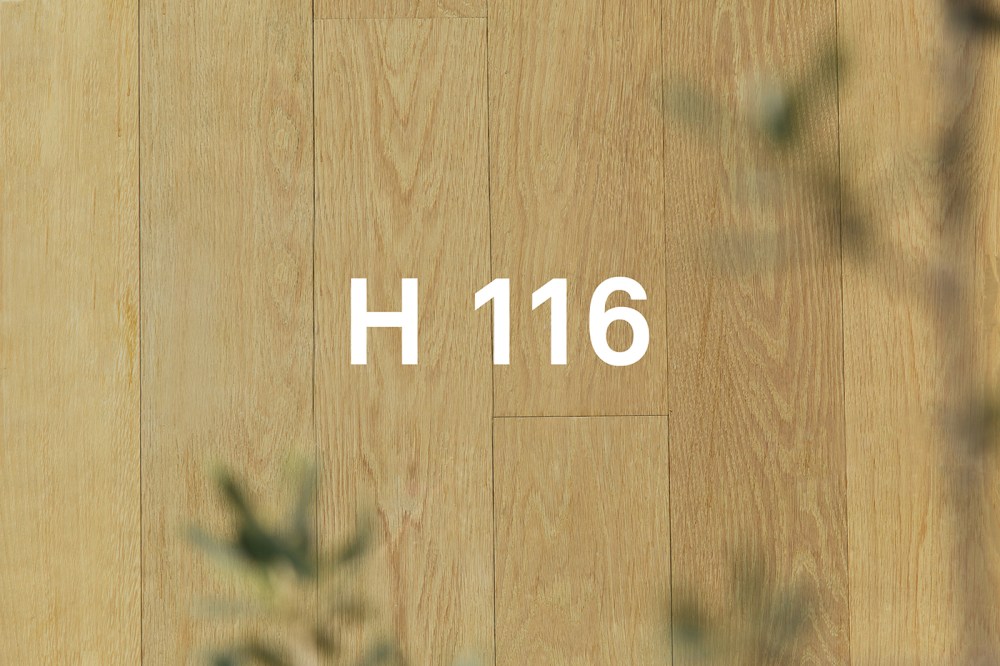 HABITACIóN 116—室內(nèi)工作室