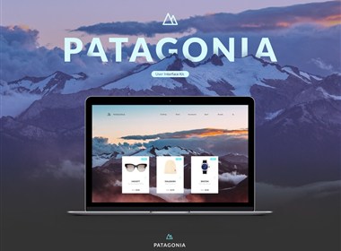 Patagonia UI Kit