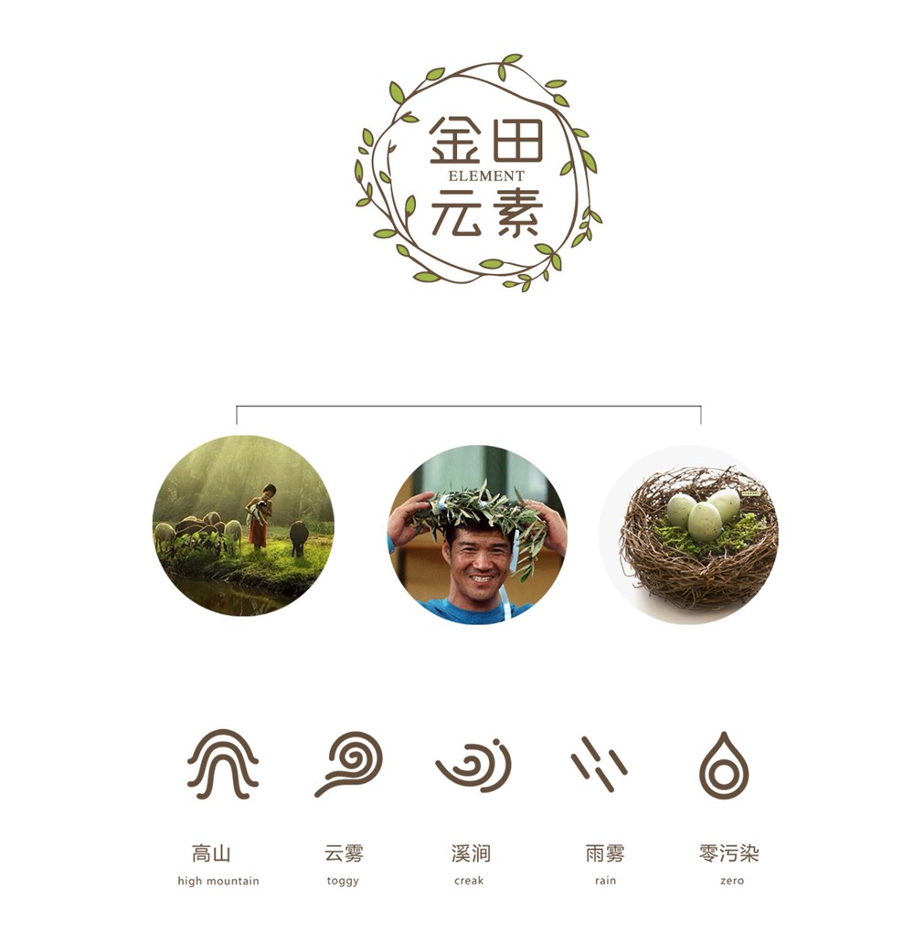 金田农业品牌设计|绿色、健康、回归自然