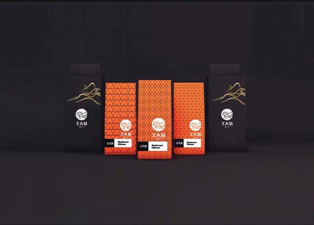 王大菇品牌形象策划，logo设计，包装设计