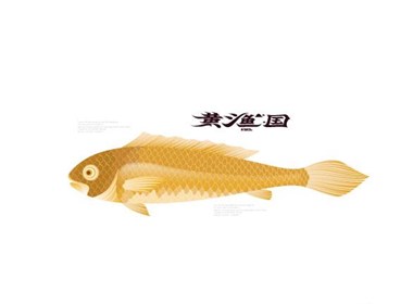 黄鱼 国 品牌设计