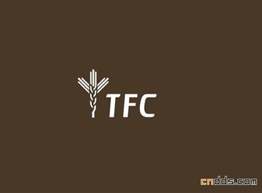 TFC品牌形象VI设计