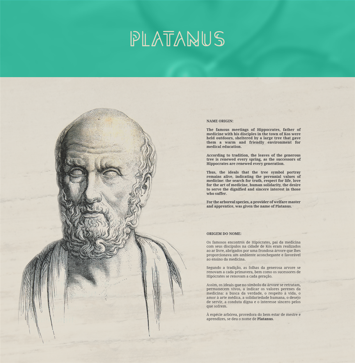 Platanus一家医疗机构品牌设计