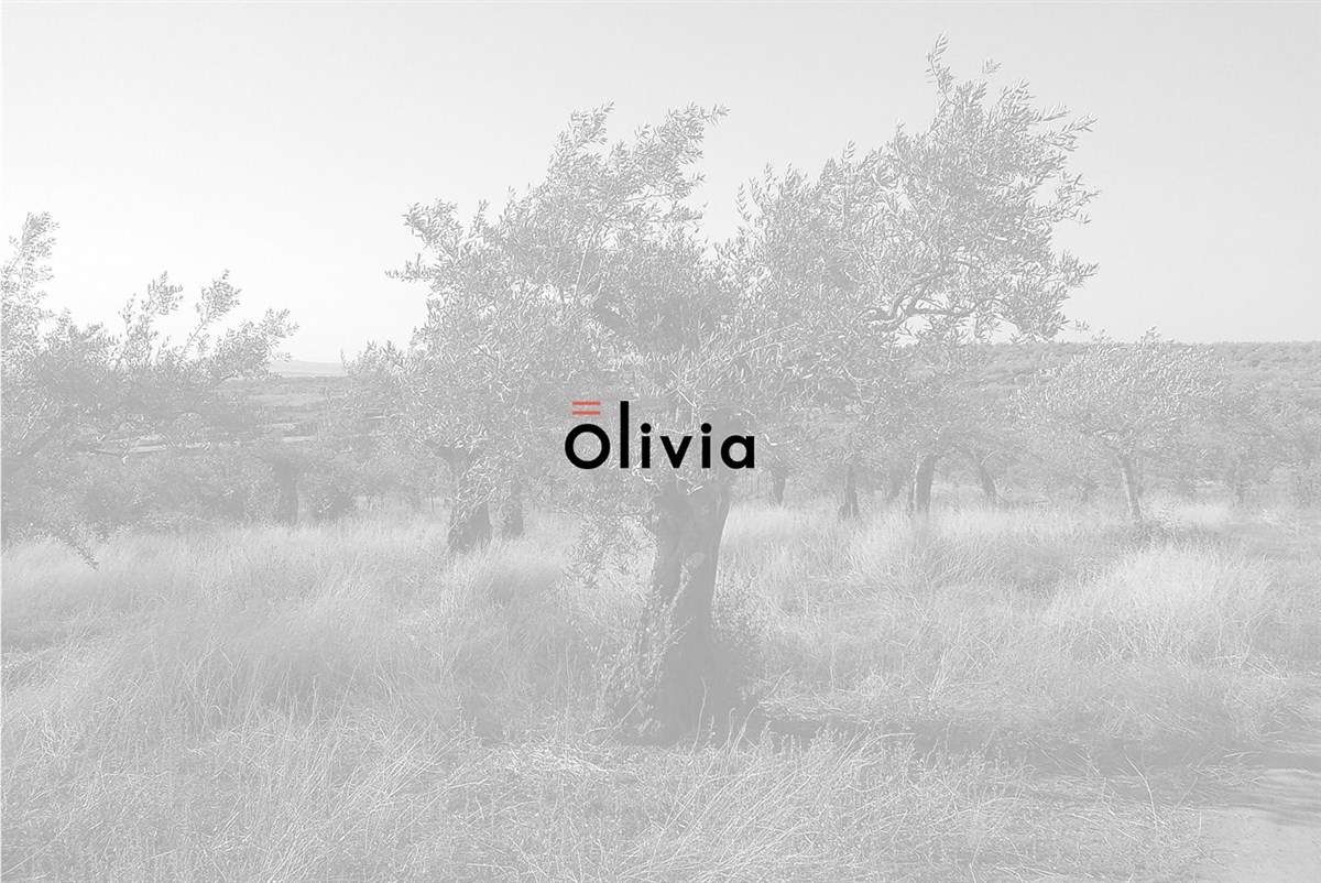 Olivia 橄榄制品品牌设计