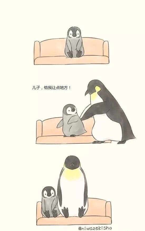 可爱萌萌的企鹅父子  小漫画