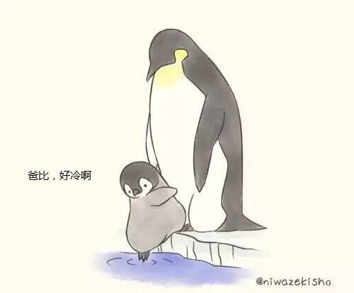 可爱萌萌的企鹅父子 小漫画-中国设计网