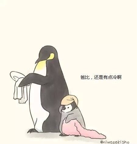 可爱萌萌的企鹅父子  小漫画